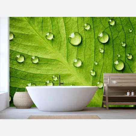Wall mural fresh green leaf with water droplets • Wallissimo®