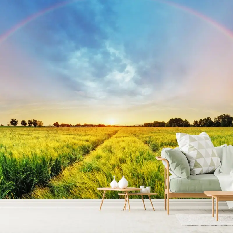 Wall mural rainbow over golden wheat field at sunset