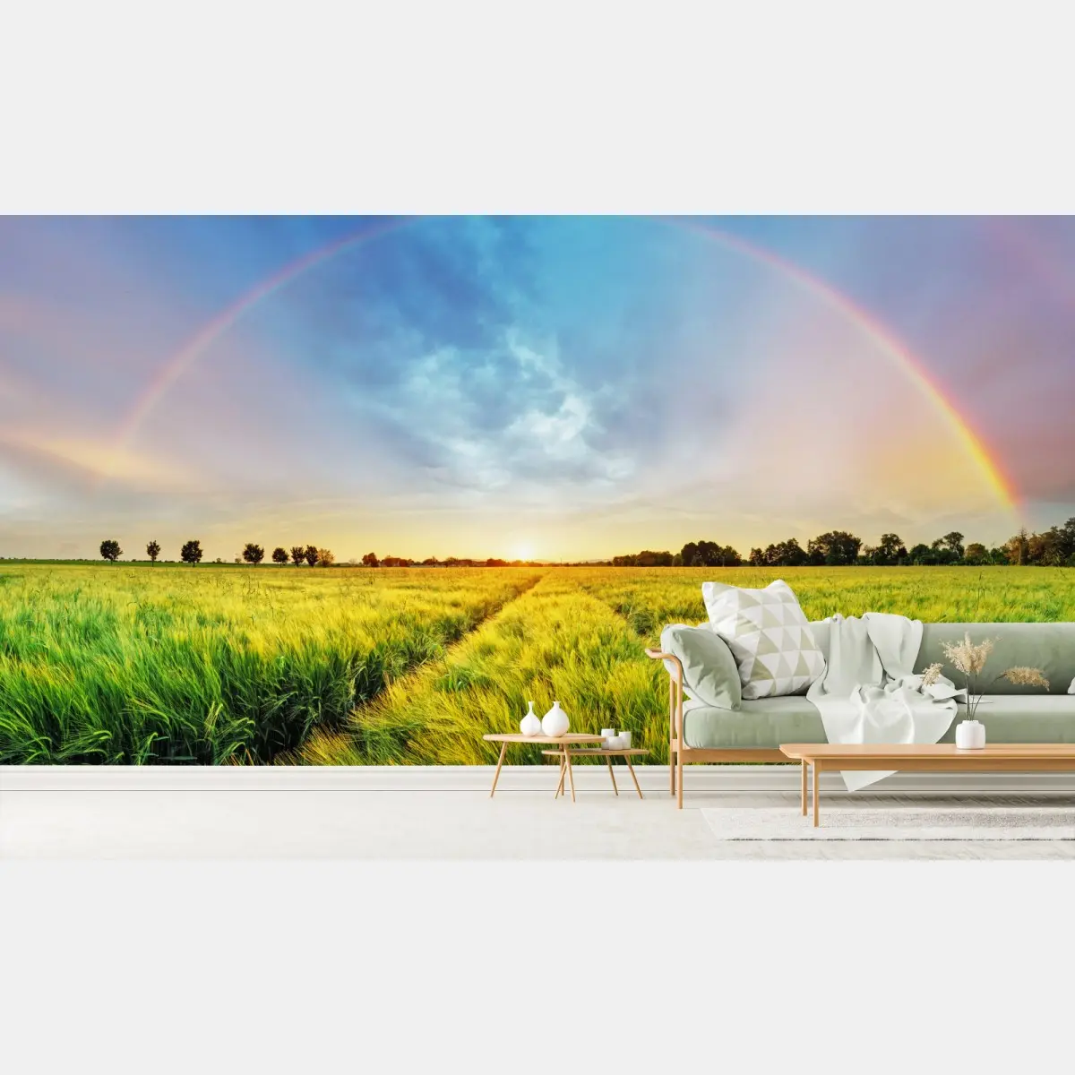 Wall mural rainbow over golden wheat field at sunset • Wallissimo®