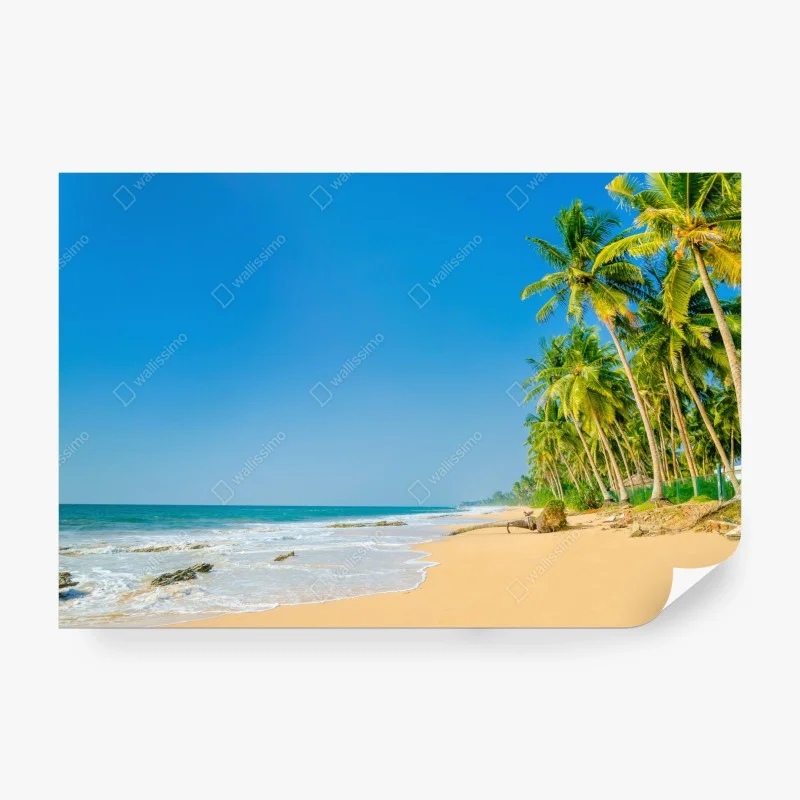 Wall mural tropical palm beach coastal escape