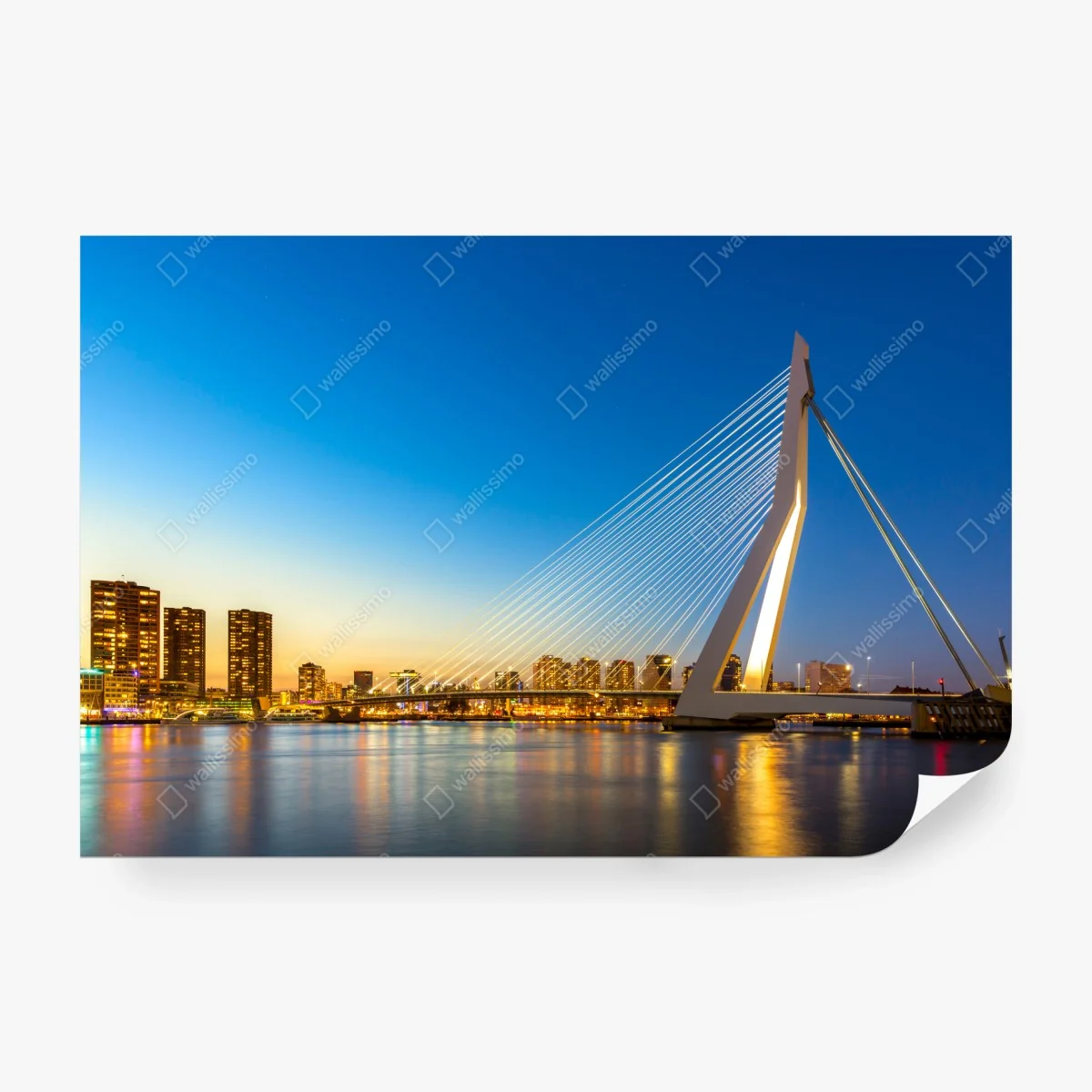Wall mural Rotterdam Erasmus bridge at twilight • Wallissimo® Wall mural Rotterdam Erasmus bridge at twilight • Wallissimo®
