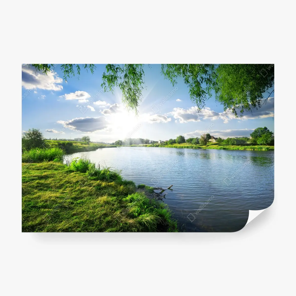 Wall mural sunlit riverside landscape with lush greenery • Wallissimo®