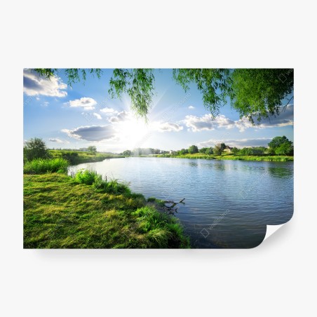 Wall mural sunlit riverside landscape with lush greenery • Wallissimo®