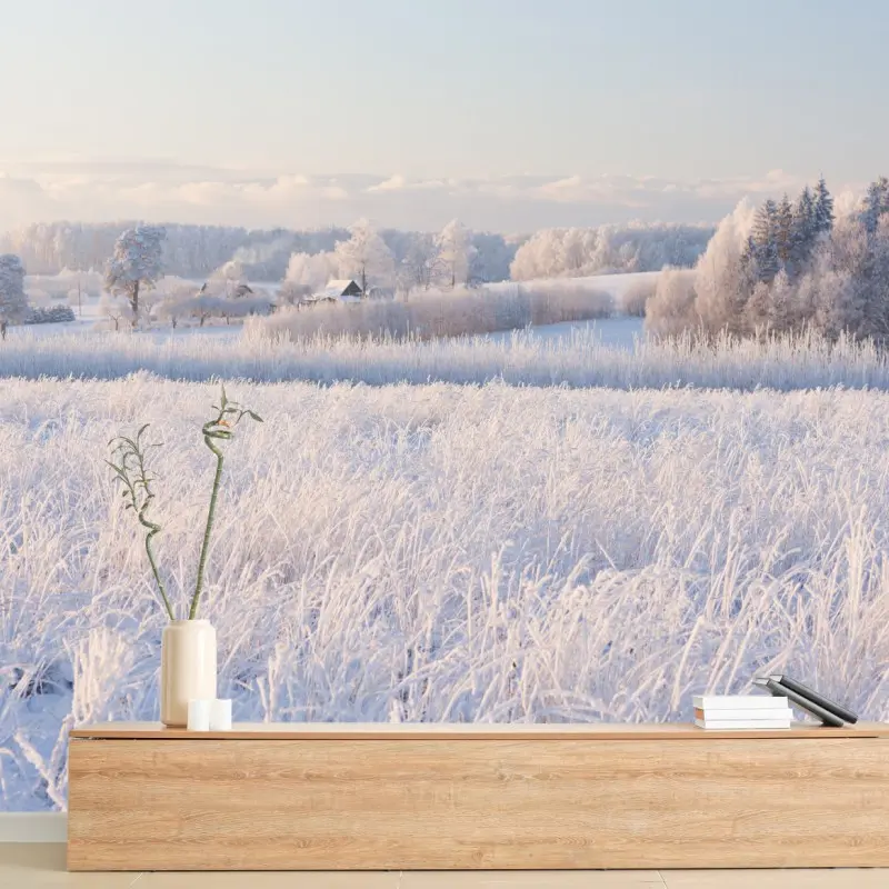 Wall mural frosted winter meadow at dawn