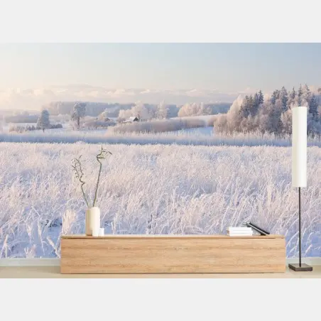 Wall mural frosted winter meadow at dawn • Wallissimo®