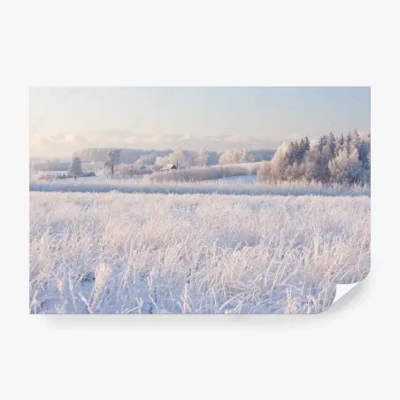 Wall mural frosted winter meadow at dawn • Wallissimo®