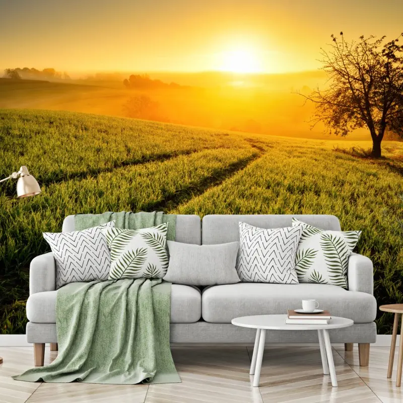 Wall mural sunlit meadow at sunrise