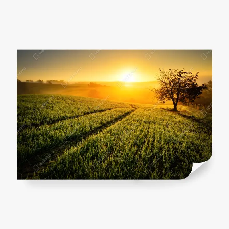 Wall mural • Wallissimo®