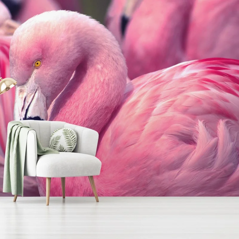 Wall mural pink flamingo close-up