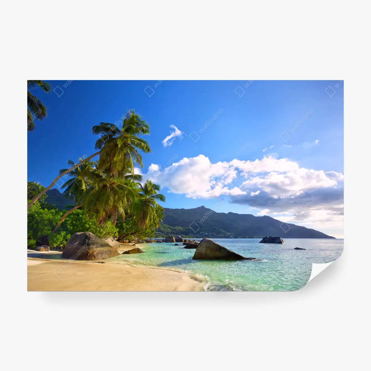 Wall mural tropical beach on Mahe Island • Wallissimo®