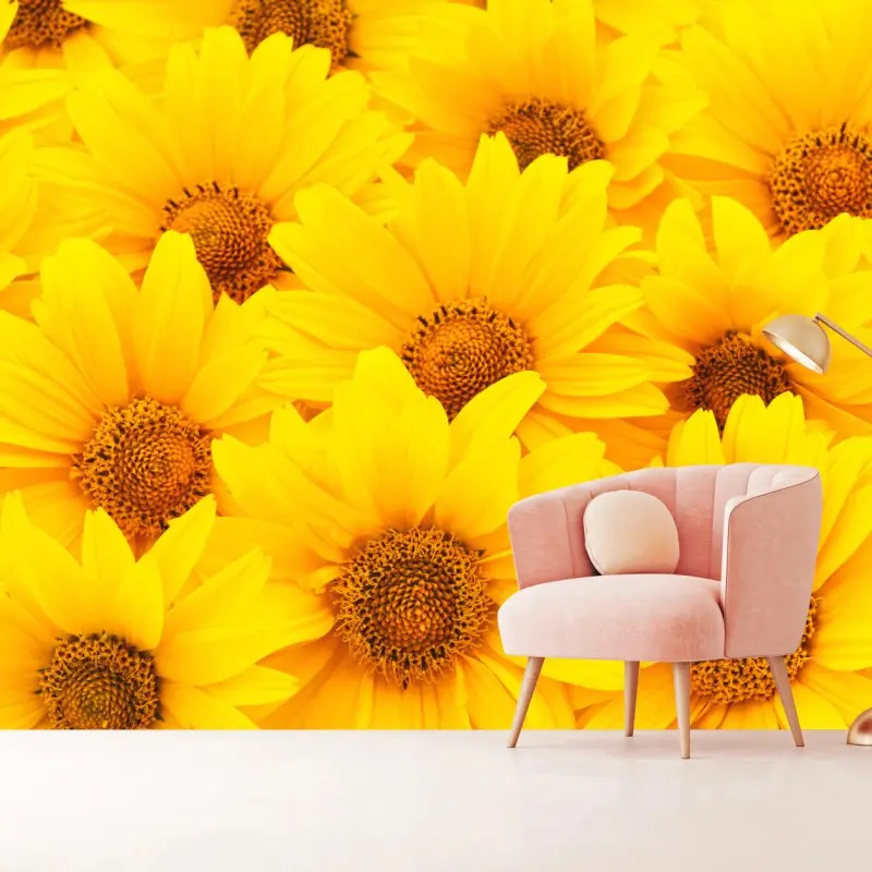 Wall mural vibrant yellow sunflower close-up