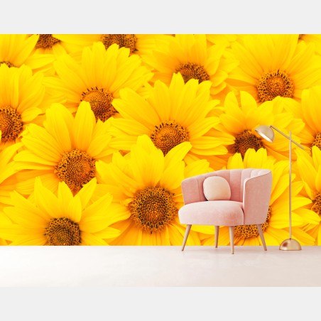 Wall mural vibrant yellow sunflower close-up • Wallissimo®