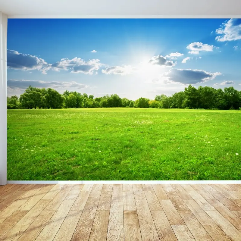 Wall mural sunlit green meadow landscape