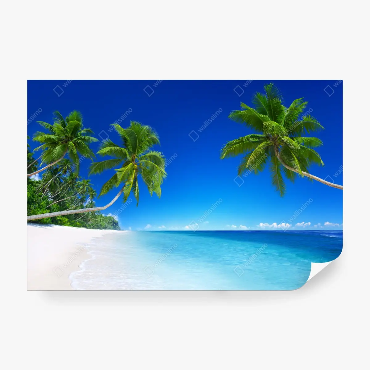 Wall mural tropical beach paradise with palm trees • Wallissimo®