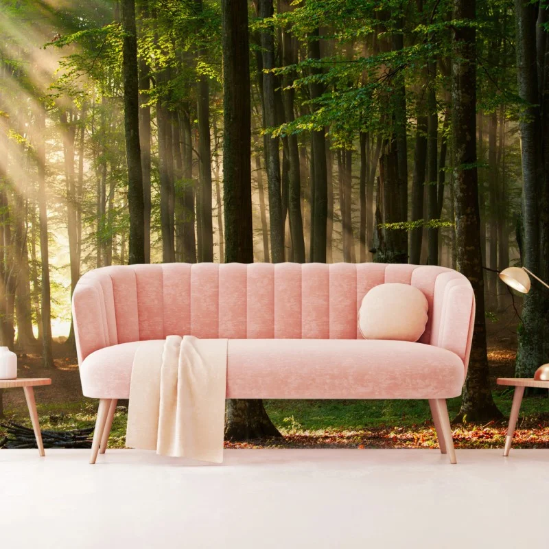 Wall mural morning light in a beech forest