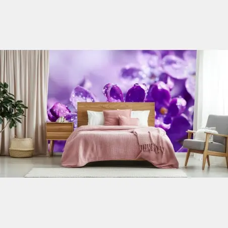 Wall mural purple lilac blossom with dewdrops • Wallissimo®