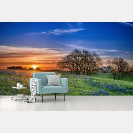 Wall mural Texas bluebonnet sunrise meadow • Wallissimo®