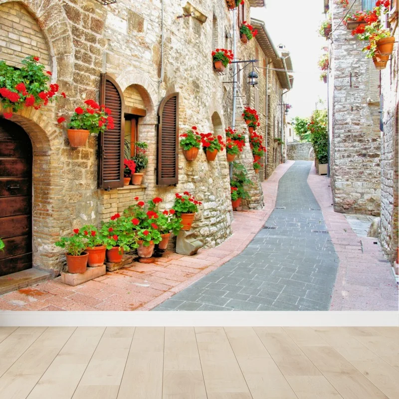 Wall mural sunlit stone alley with red geraniums