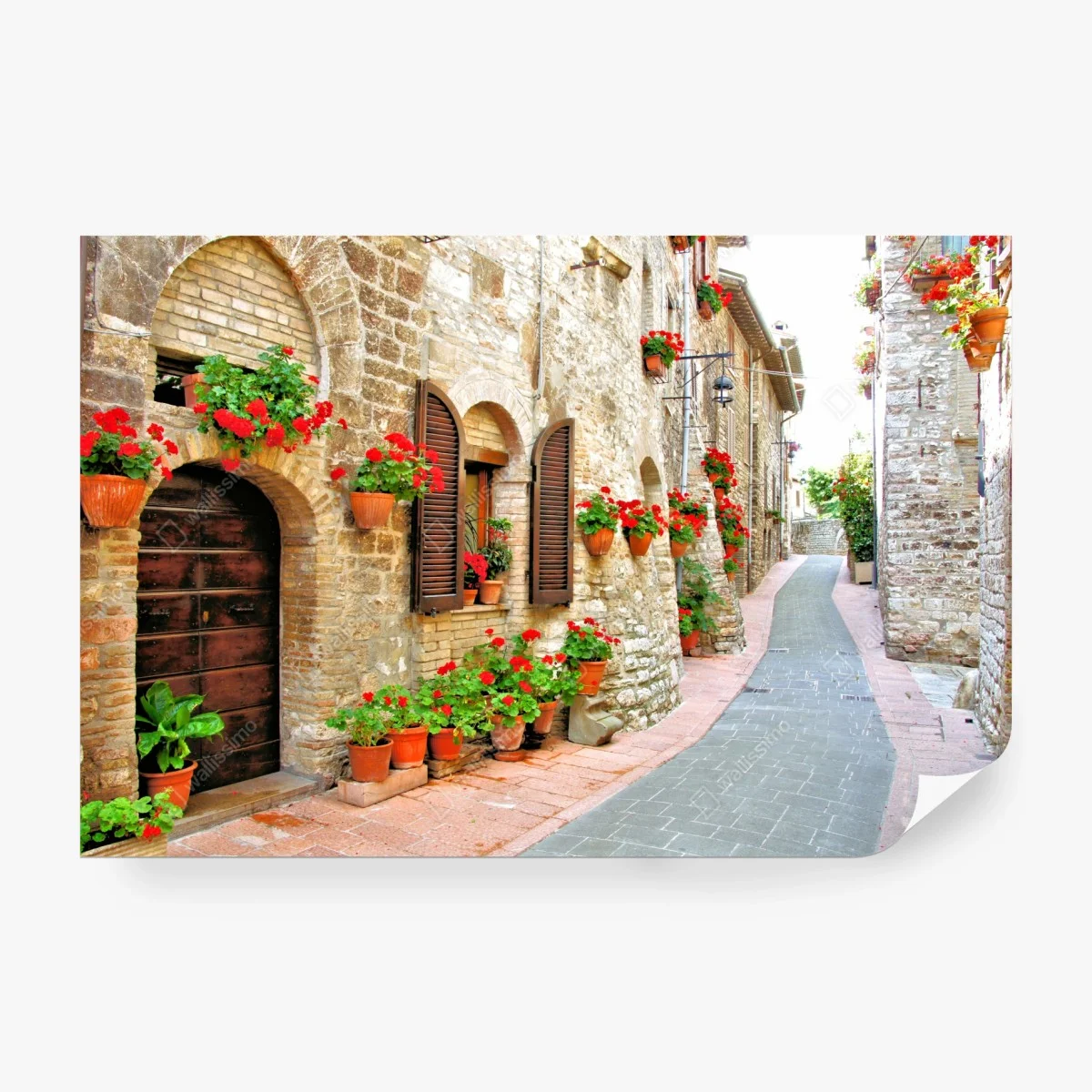 Wall mural sunlit stone alley with red geraniums ⁕ Wallissimo®