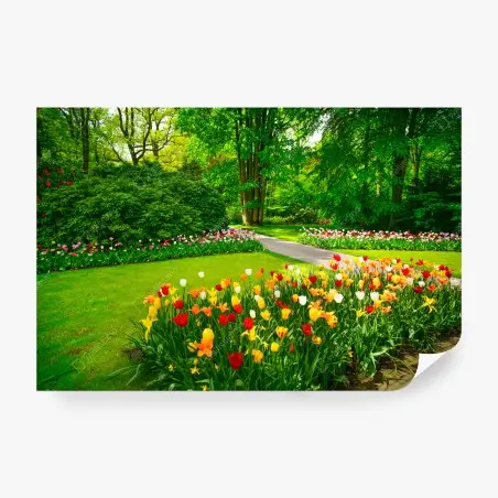 Wall mural vibrant tulip garden in Keukenhof • Wallissimo®
