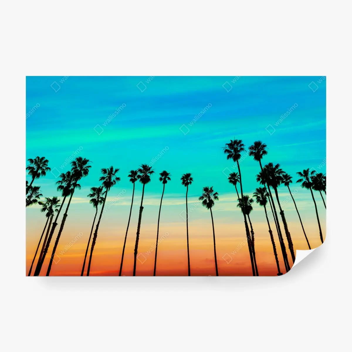 Wall mural California sunset palm silhouettes • Wallissimo®