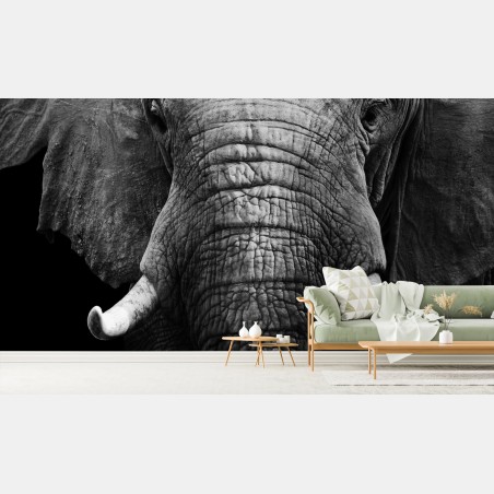 Wall mural majestic elephant close-up • Wallissimo®