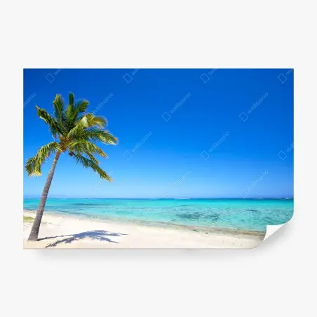 Wall mural tropical paradise beach with palm tree • Wallissimo®