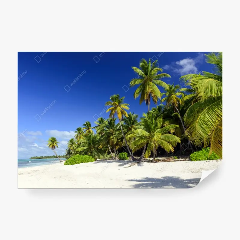 Wall mural • Wallissimo®