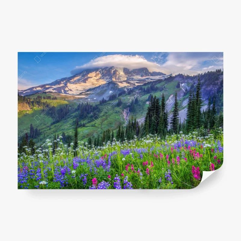 Wall mural alpine wildflower meadow beneath snow-capped mountain