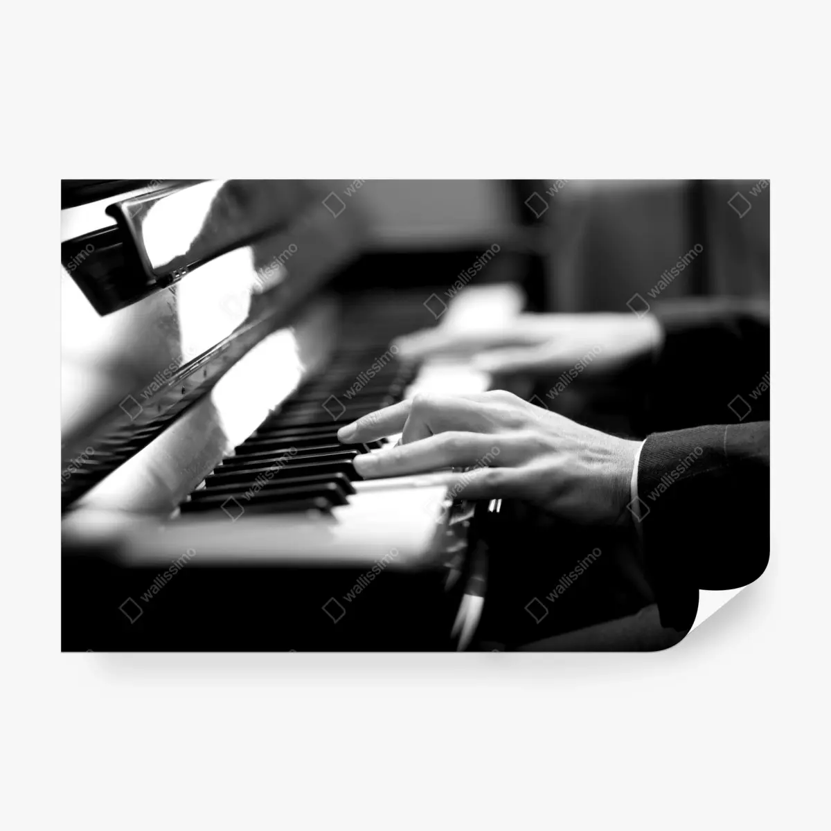 Wall mural intimate piano hands in monochrome • Wallissimo®
