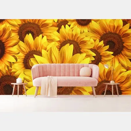 Wall mural golden sunflower bloom • Wallissimo®
