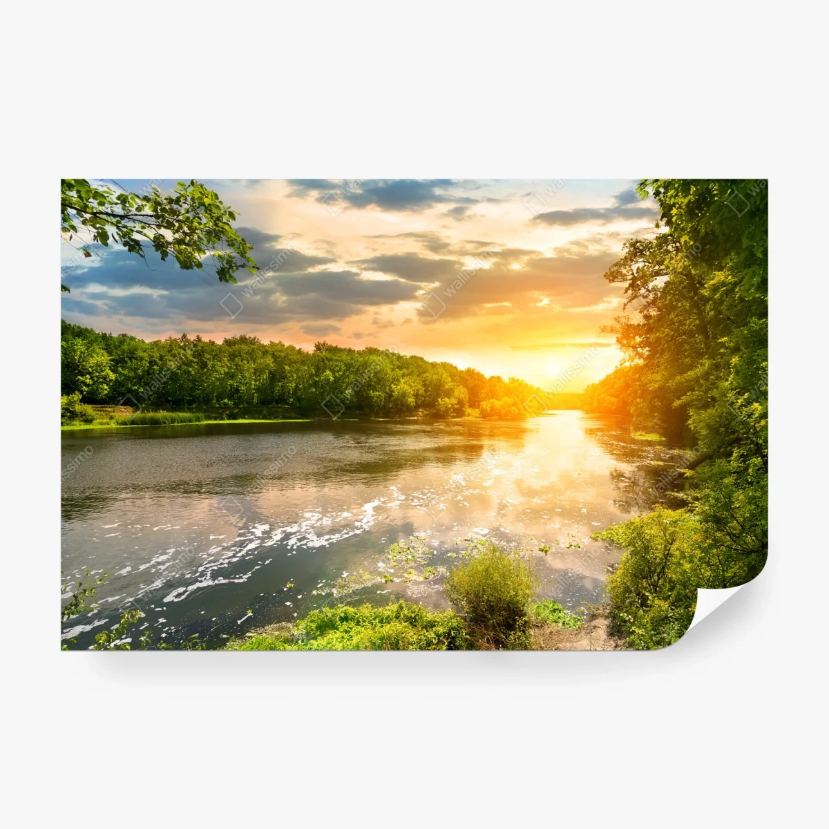 Wall mural serene riverside sunset over lush forest • Wallissimo® Wall mural serene riverside sunset over lush forest • Wallissimo®