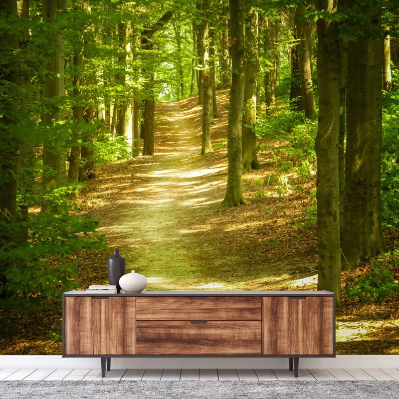 Wall mural sunlit forest trail ⁕ Wallissimo® Wall mural sunlit forest trail ⁕ Wallissimo®