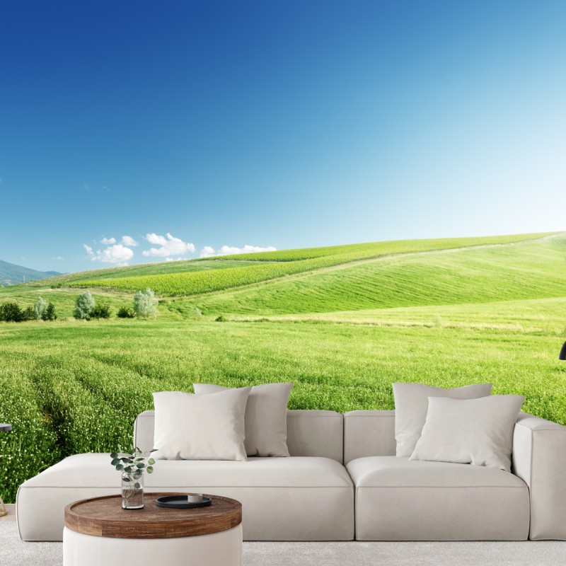 Wall mural tranquil green meadow landscape