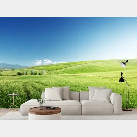 Wall mural tranquil green meadow landscape • Wallissimo®