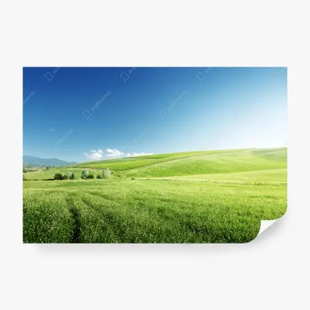Wall mural tranquil green meadow landscape • Wallissimo®
