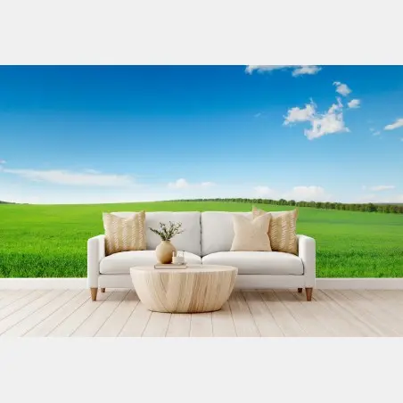 Wall mural serene green meadow under blue sky • Wallissimo®