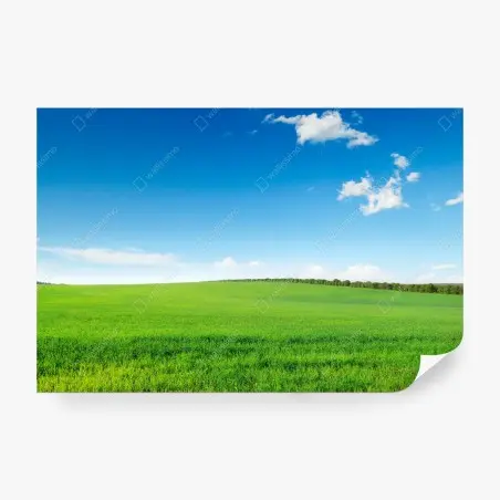 Wall mural serene green meadow under blue sky • Wallissimo®