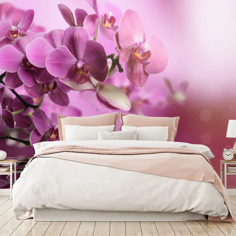 Wall mural pink orchid reflections