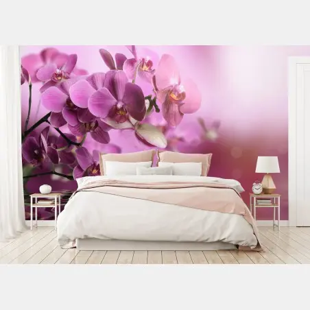 Wall mural pink orchid reflections • Wallissimo®