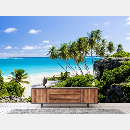 Wall mural Bottom Bay palm beach, Barbados • Wallissimo®