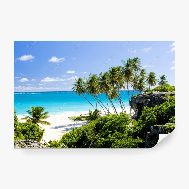 Wall mural Bottom Bay palm beach, Barbados
