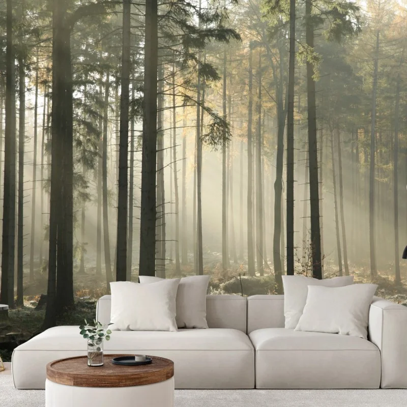 Wall mural misty morning forest with sun rays