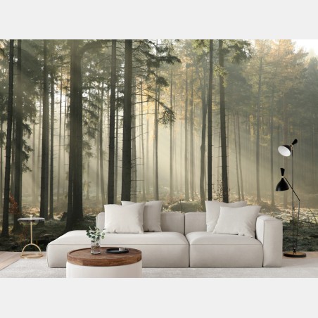 Wall mural misty morning forest with sun rays • Wallissimo®