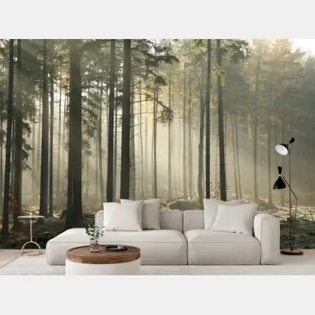Wall mural misty morning forest with sun rays • Wallissimo®