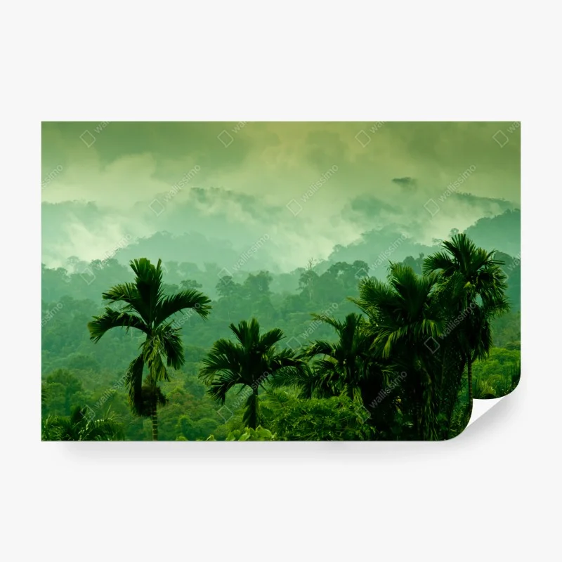 Wall mural misty tropical jungle landscape