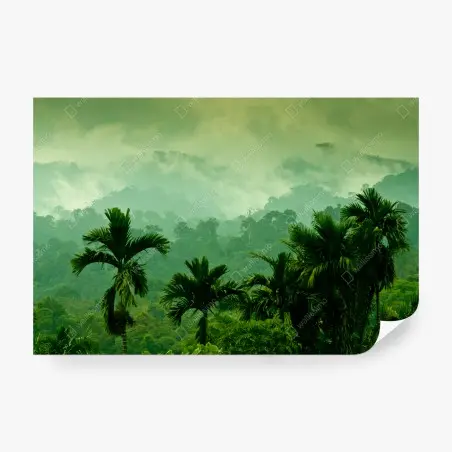 Wall mural misty tropical jungle landscape • Wallissimo®