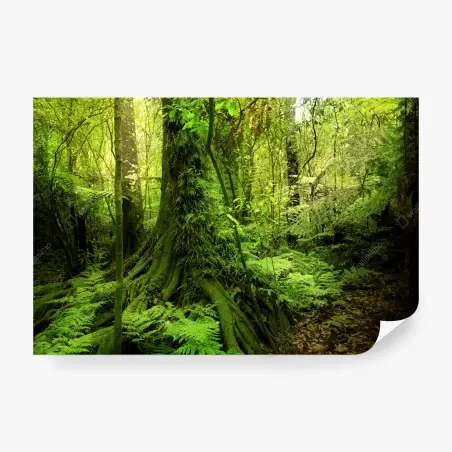 Wall mural lush tropical jungle greenery • Wallissimo®
