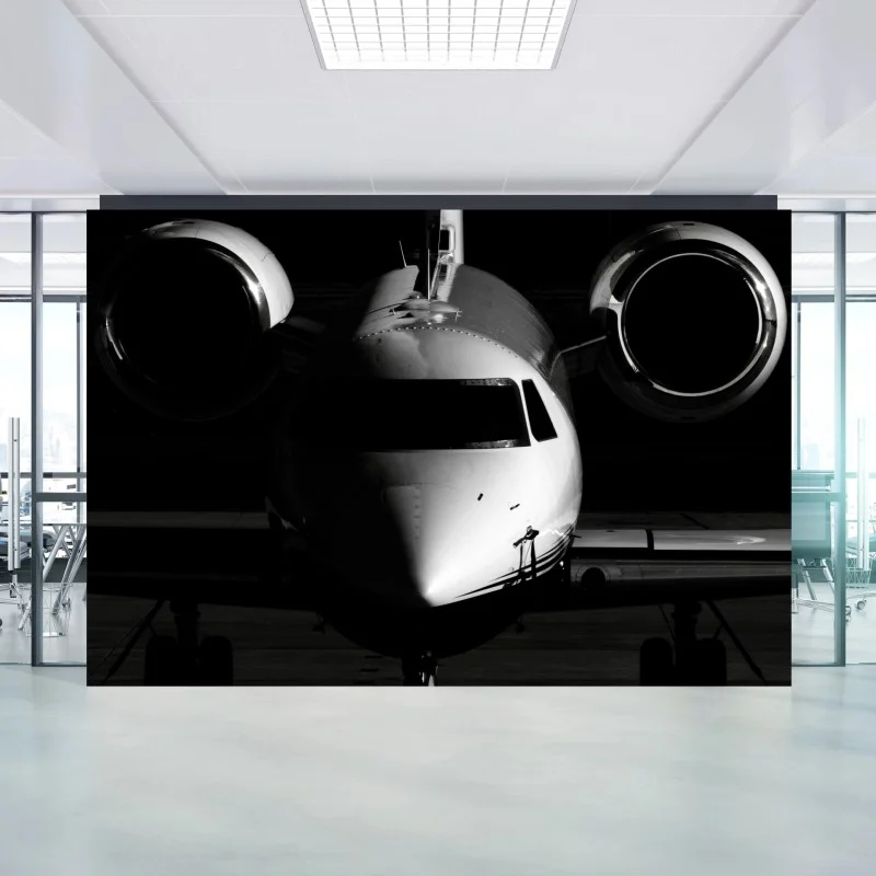 Wall mural monochrome private jet front view