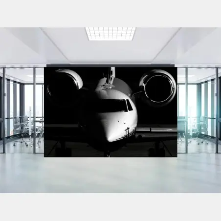 Wall mural monochrome private jet front view • Wallissimo®